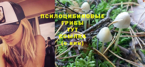 не бодяженный Алзамай
