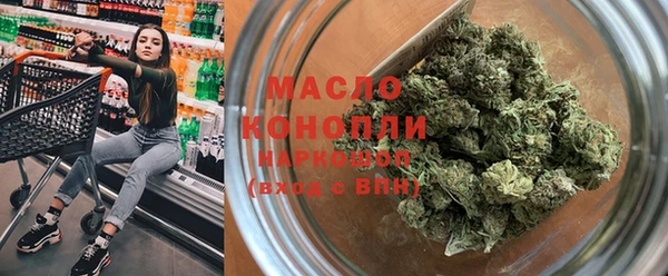твердый Михайлов