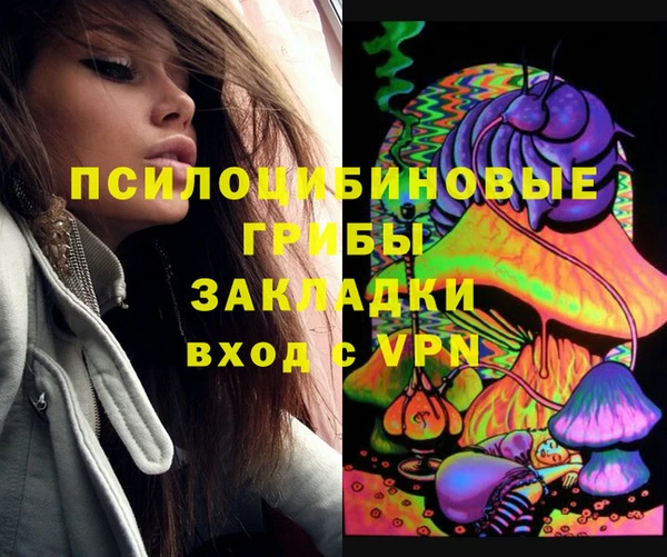 винт Алексин