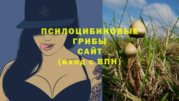 не бодяженный Алзамай