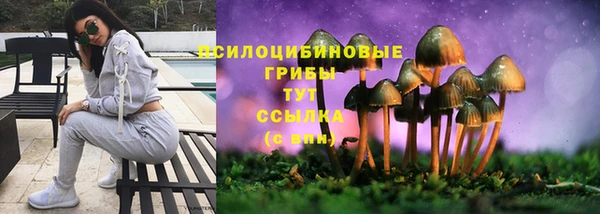 винт Алексин