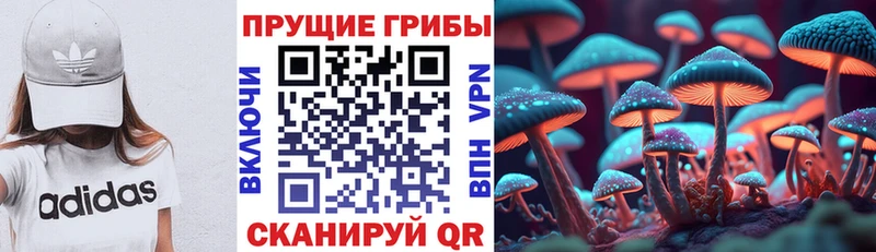 купить наркотик  Вихоревка  shop клад  Псилоцибиновые грибы мицелий 
