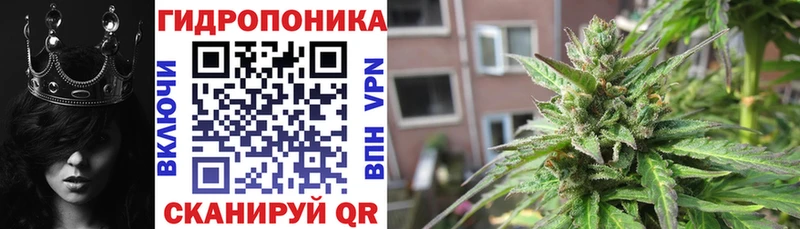 Канабис ГИДРОПОН  Вихоревка 
